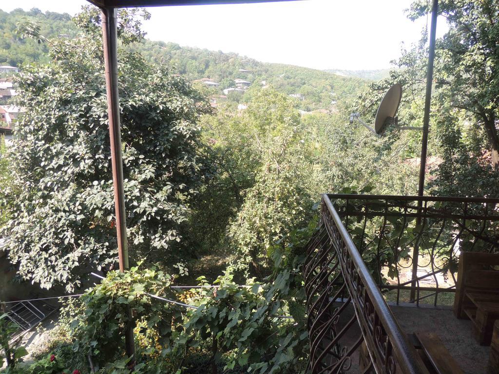 Guest House Chirina Sighnaghi Extérieur photo